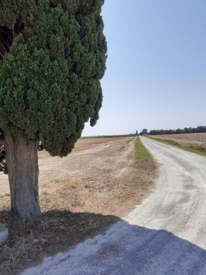 Casa Porciatti Hotell Grosseto Eksteriør bilde