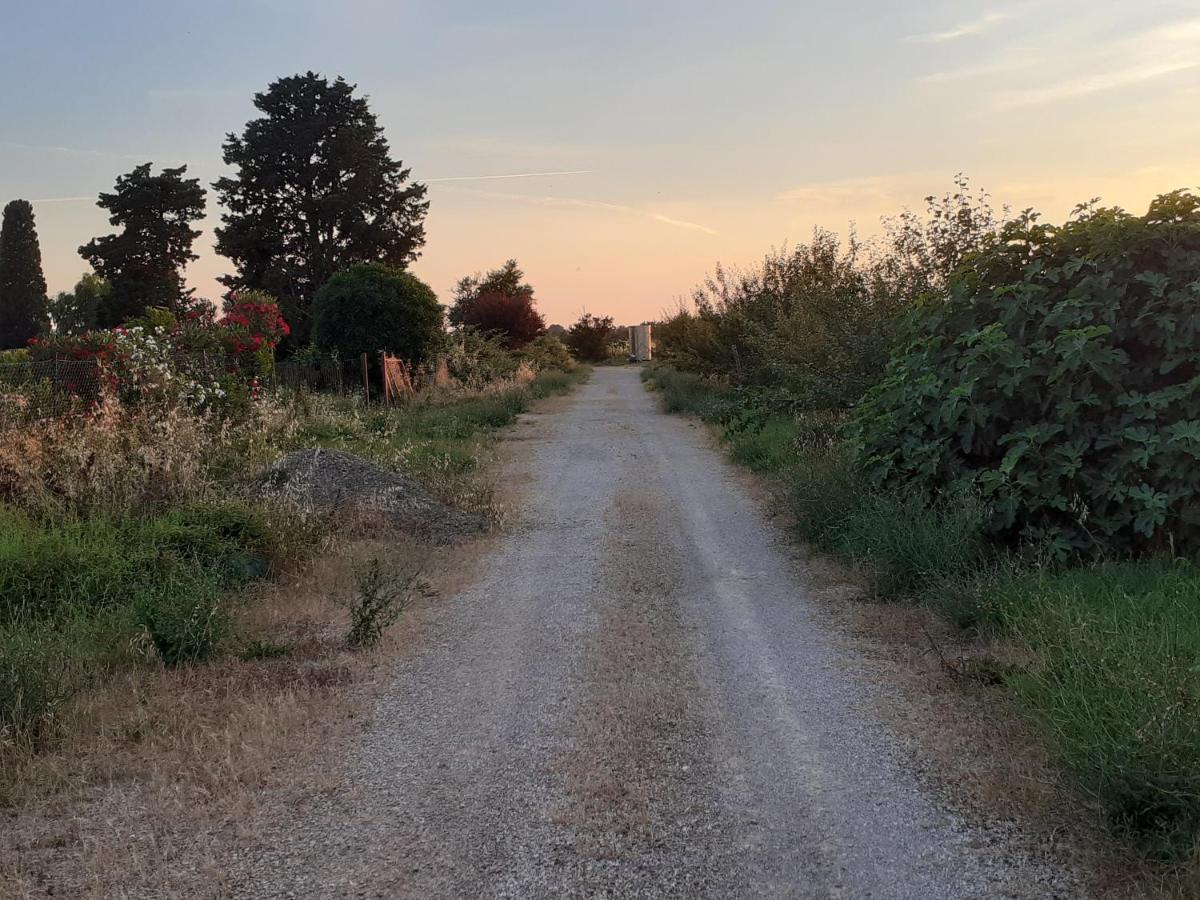 Casa Porciatti Hotell Grosseto Eksteriør bilde